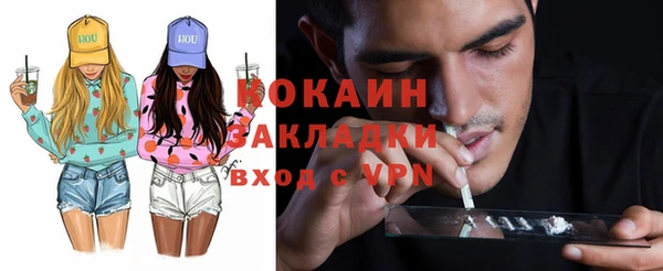 шишки Балахна