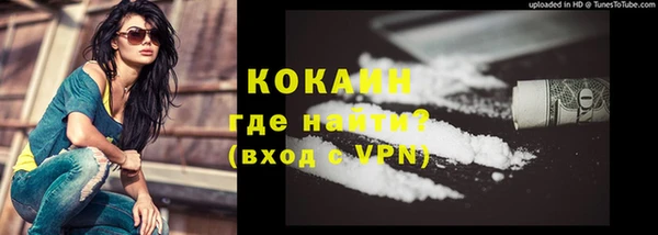 шишки Балахна