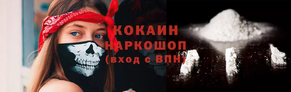 гашик Белокуриха