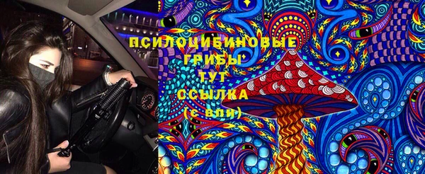 шишки Балахна