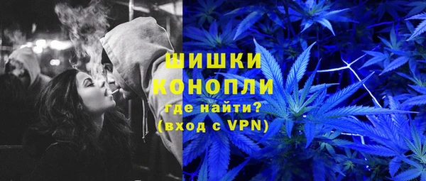 крисы Беломорск